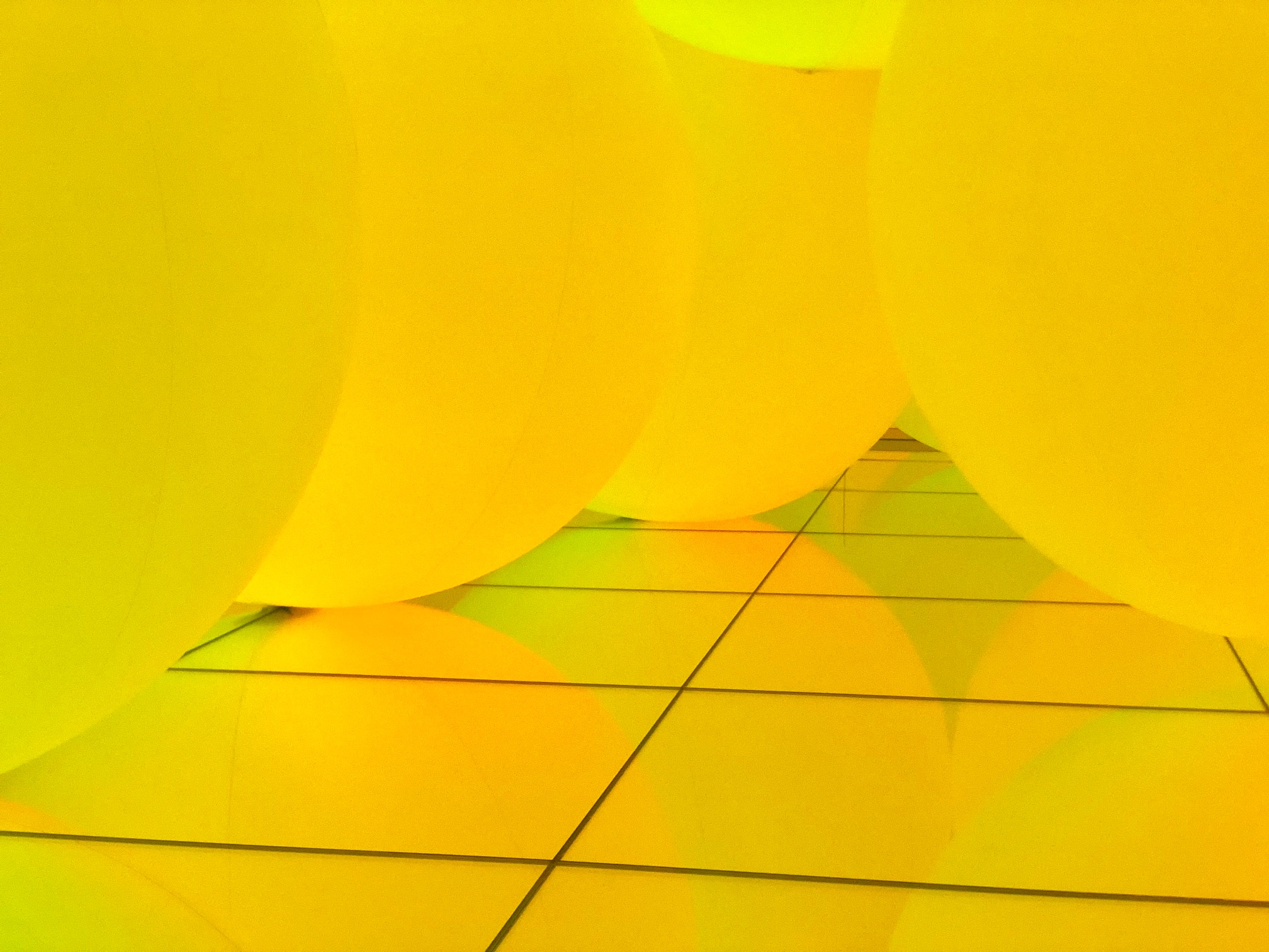 fullsizeoutput_7069